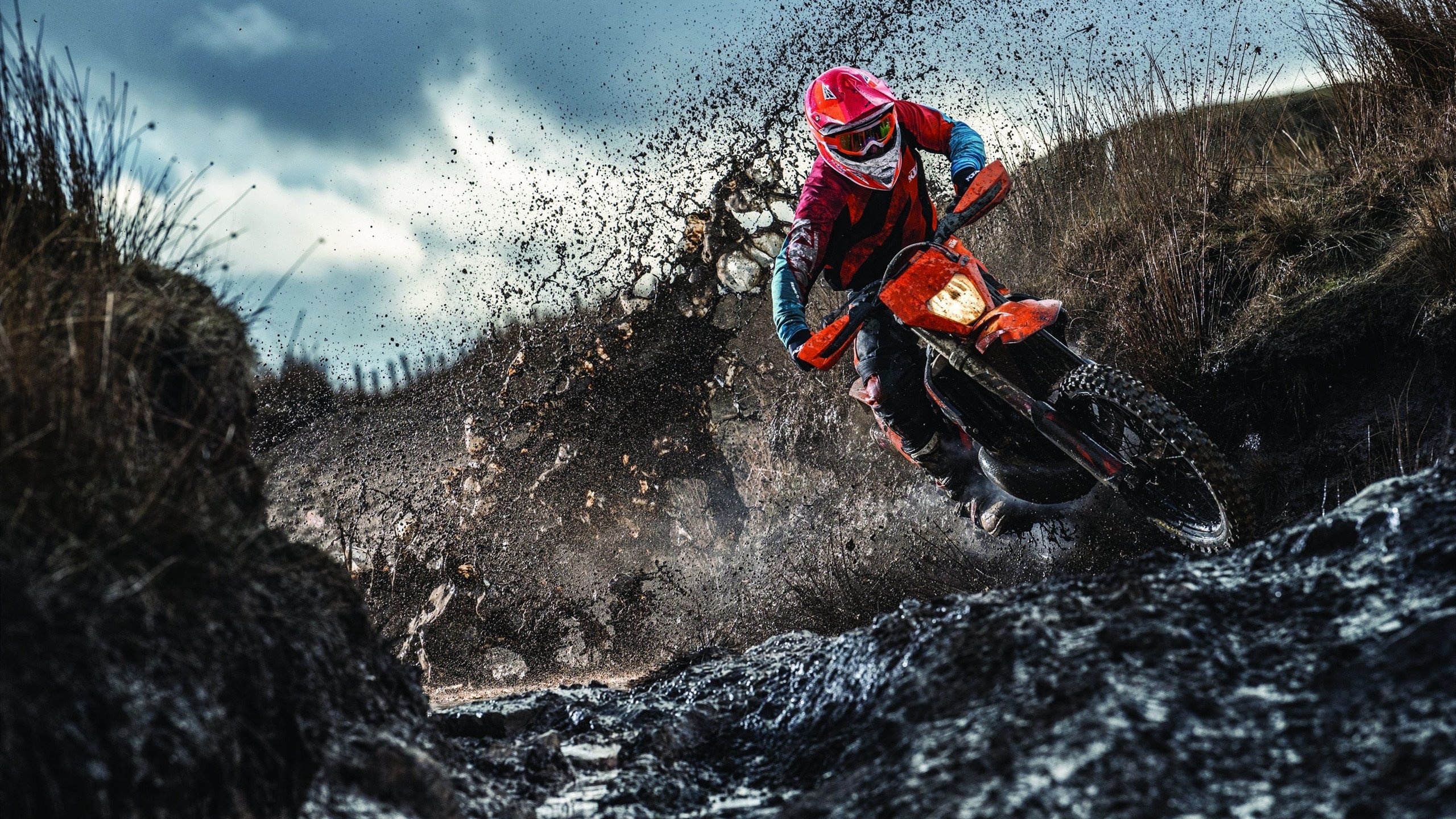 _现场现场:比赛激战,欢呼声不断_,比赛场面激烈